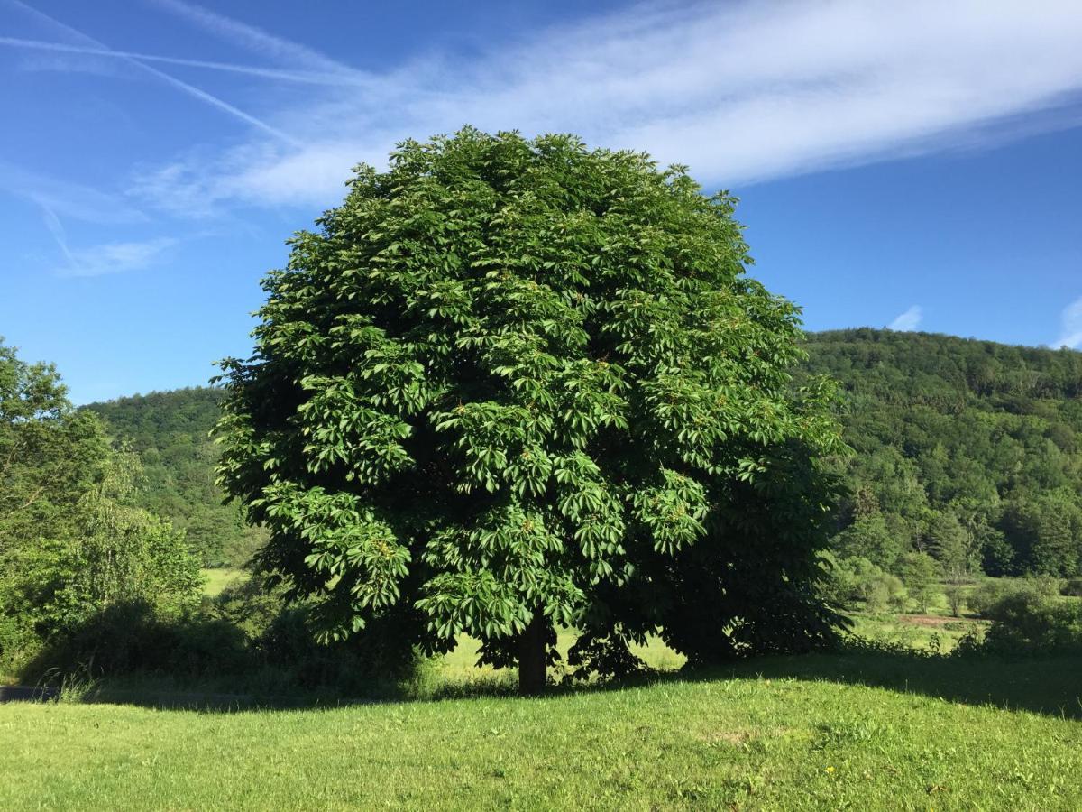 Landhotel Weisses Ross Garni Bad Brückenau Zewnętrze zdjęcie